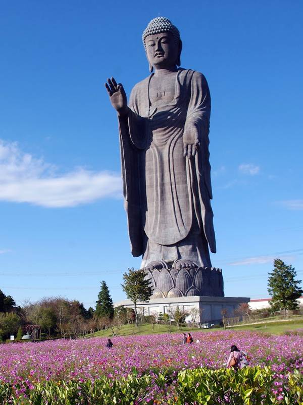 Le Bouddha d'Hushiku