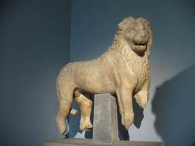 Lion du sommet