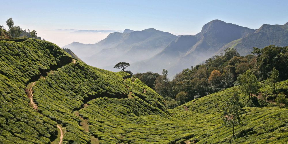 L'Inde