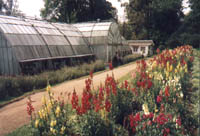 Les jardins botaniques de Lloyd