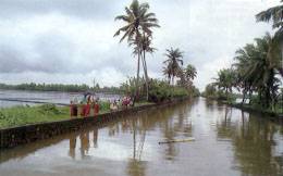 Les backwaters