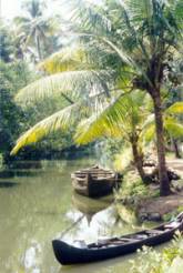 Les backwaters