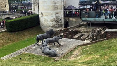 Tour des lions